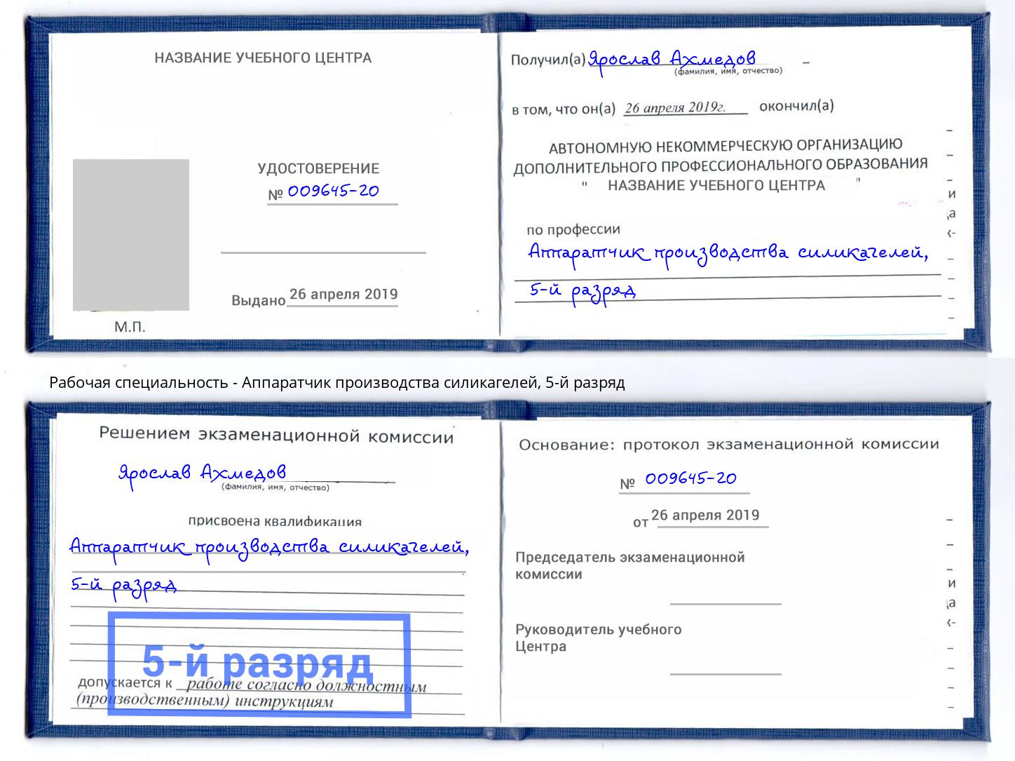 корочка 5-й разряд Аппаратчик производства силикагелей Тюмень